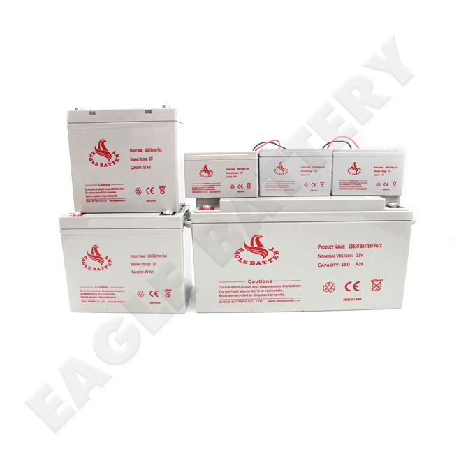 Lithium Battery Pack with Case  ELP Series 